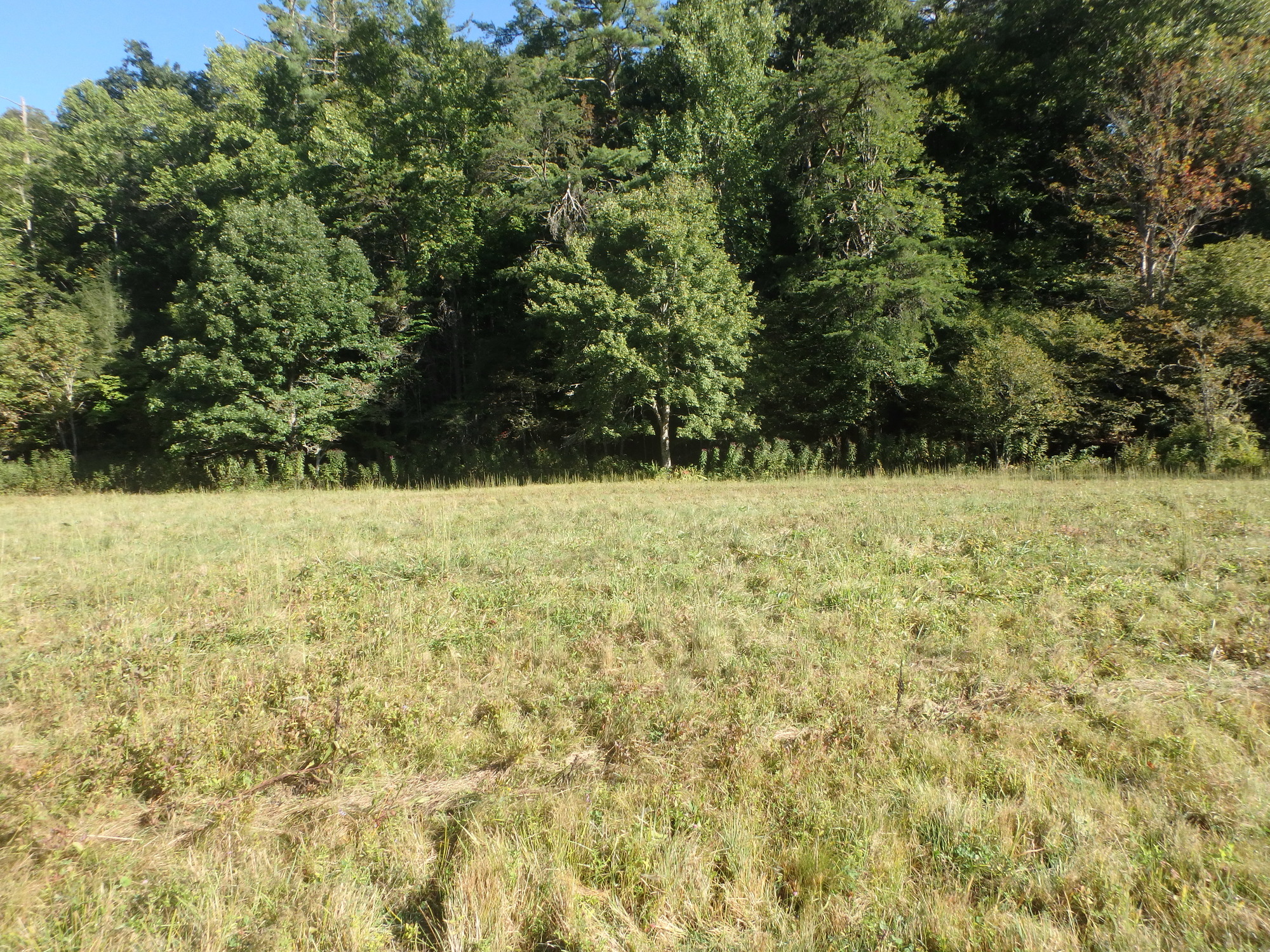 GRSM Accuracy Assessment. Plot Code: GRSM_AA_0064_2