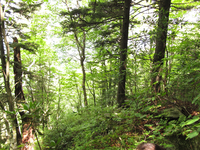 Plot Code: GRSM_AA_0582_2