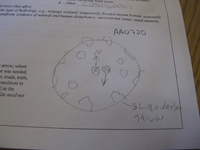 GRSM Accuracy Assessment. Plot Code: GRSM_AA_0720_7
