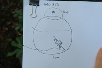 GRSM Accuracy Assessment. Plot Code: GRSM_AA_0812_7