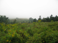 GRSM Accuracy Assessment. Plot Code: GRSM_AA_0071_2