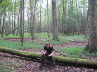 GRSM Accuracy Assessment. Plot Code: GRSM_AA_0594_4