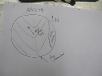 GRSM Accuracy Assessment. Plot Code: GRSM_AA_0679_7
