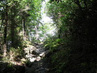 GRSM Accuracy Assessment. Plot Code: GRSM_AA_0957_2