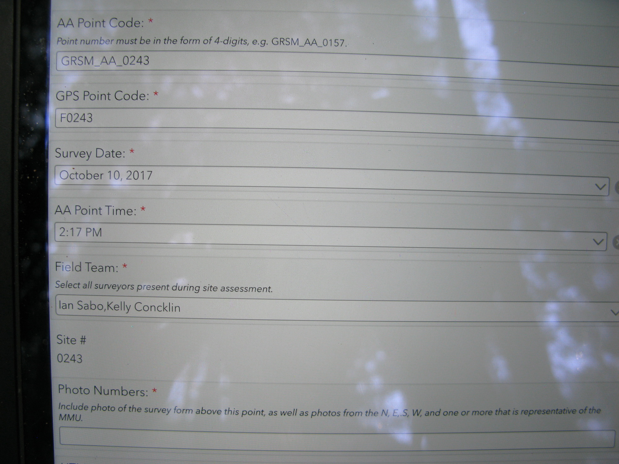 GRSM Accuracy Assessment. Plot Code: GRSM_AA_0243_1