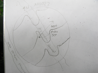 GRSM Accuracy Assessment. Plot Code: GRSM_AA_0723_7