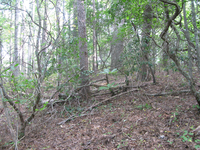 GRSM Accuracy Assessment. Plot Code: GRSM_AA_0451_6