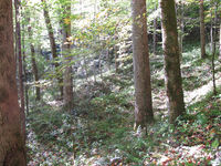 GRSM Accuracy Assessment. Plot Code: GRSM_AA_0207_4