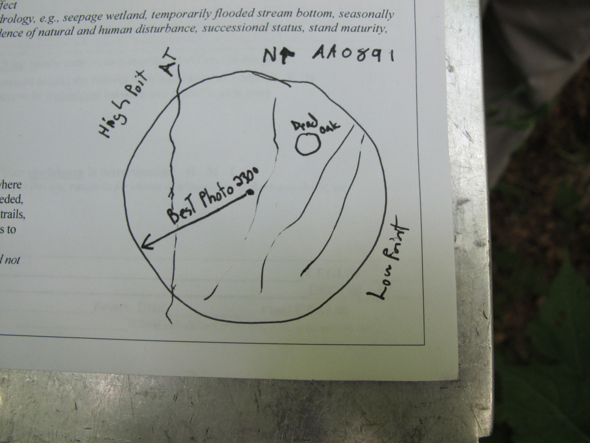 GRSM Accuracy Assessment. Plot Code: GRSM_AA_0891_7