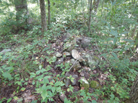 GRSM Accuracy Assessment. Plot Code: GRSM_AA_0714_8