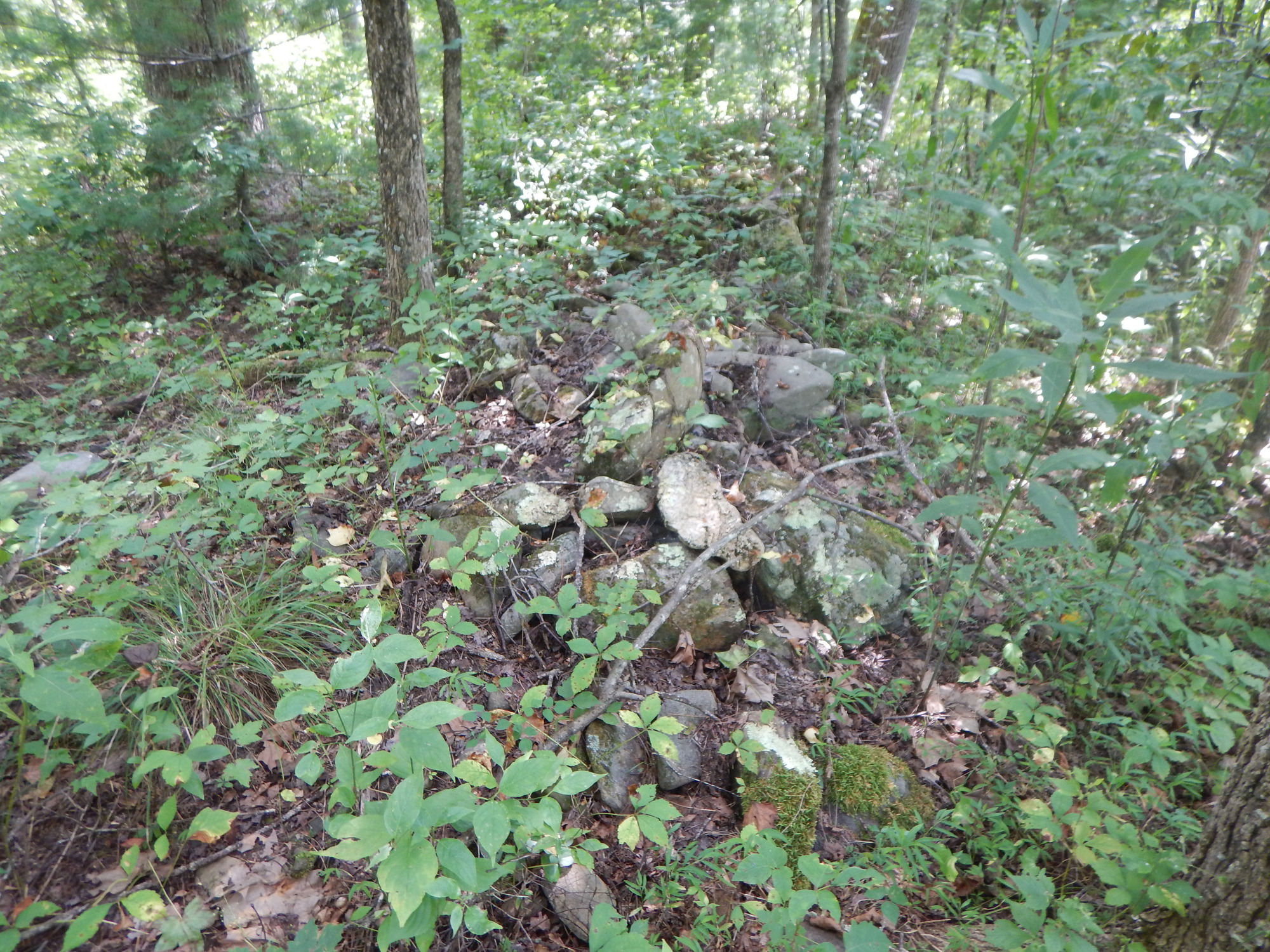 GRSM Accuracy Assessment. Plot Code: GRSM_AA_0714_8