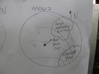 GRSM Accuracy Assessment. Plot Code: GRSM_AA_0612_7