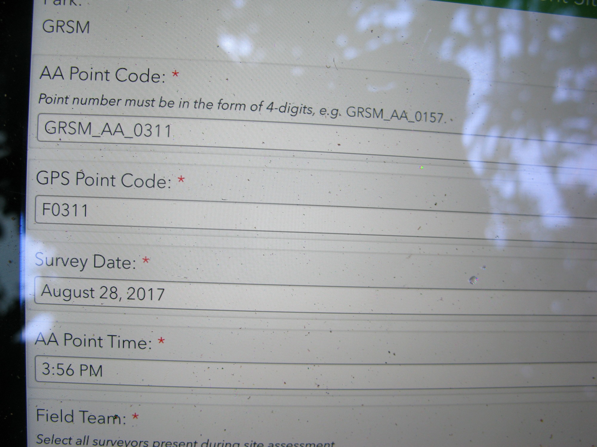 GRSM Accuracy Assessment. Plot Code: GRSM_AA_0311_1