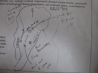GRSM Accuracy Assessment. Plot Code: GRSM_AA_0714_7