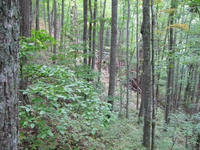 GRSM Accuracy Assessment. Plot Code: GRSM_AA_0226_6