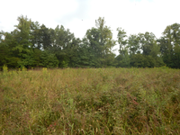 GRSM Accuracy Assessment. Plot Code: GRSM_AA_0633_2