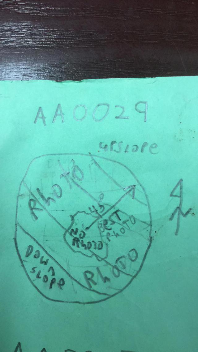 GRSM Accuracy Assessment. Plot Code: GRSM_AA_0029_map