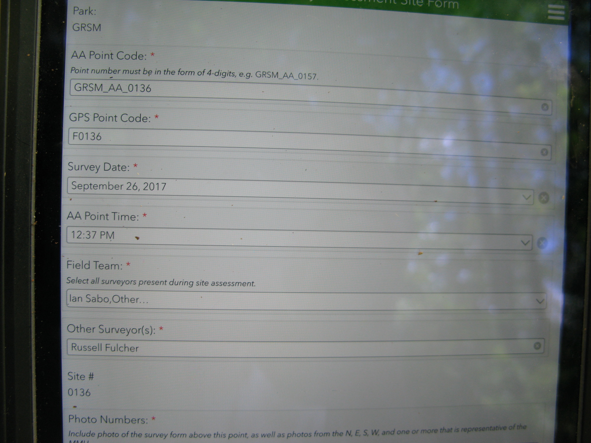 GRSM Accuracy Assessment. Plot Code: GRSM_AA_0136_1