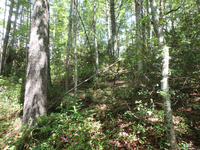 GRSM Accuracy Assessment. Plot Code: GRSM_AA_0091_6