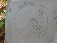 GRSM Accuracy Assessment. Plot Code: GRSM_AA_0460_7