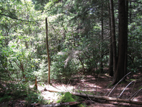 GRSM Accuracy Assessment. Plot Code: GRSM_AA_0011_6