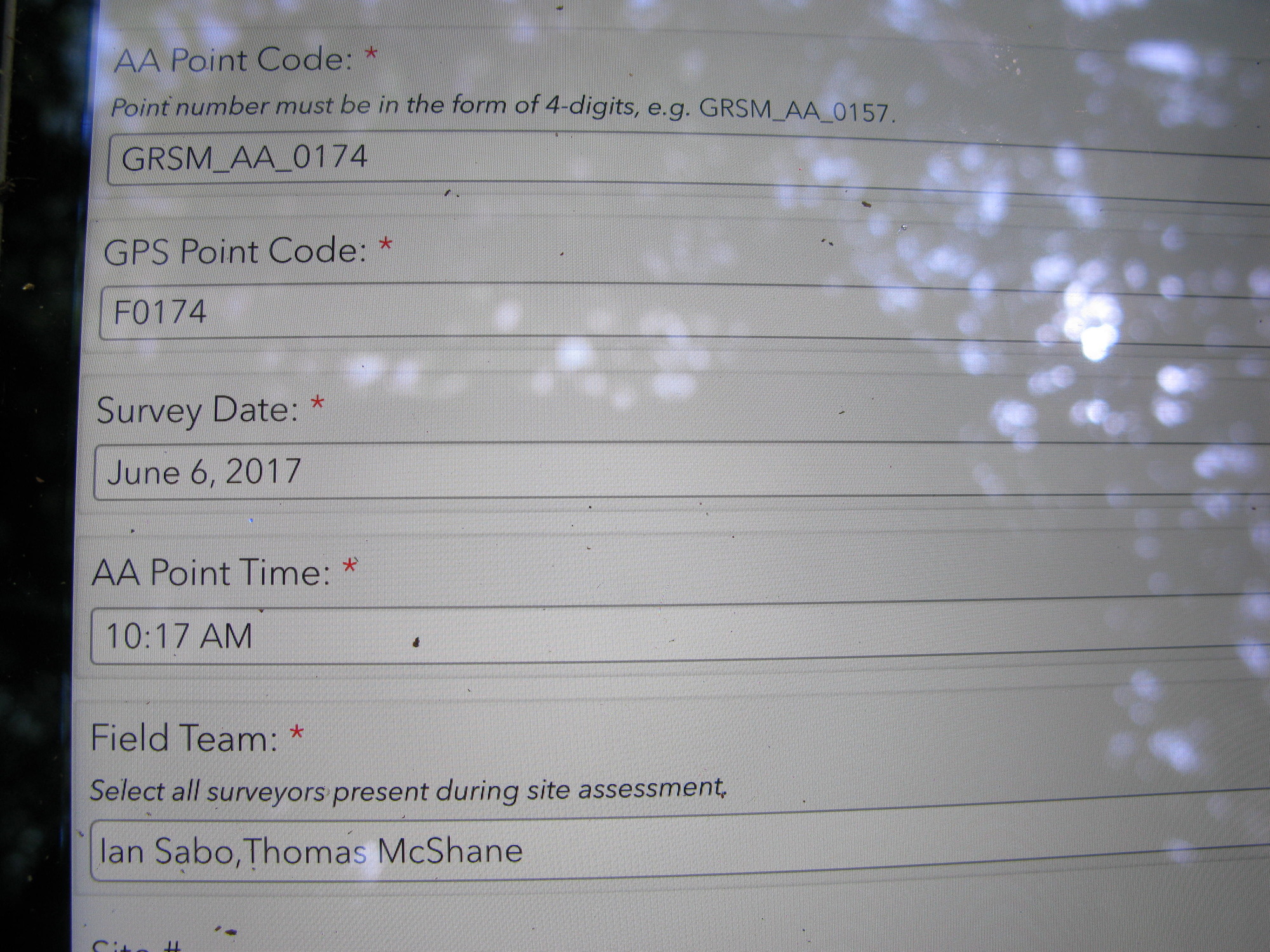 GRSM Accuracy Assessment. Plot Code: GRSM_AA_0174_1