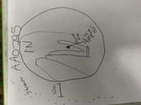 GRSM Accuracy Assessment. Plot Code: GRSM_AA_0795_7