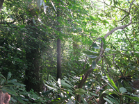 GRSM Accuracy Assessment. Plot Code: GRSM_AA_0762_6