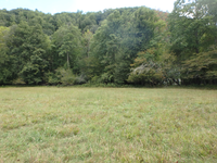 GRSM Accuracy Assessment. Plot Code: GRSM_AA_0093_4