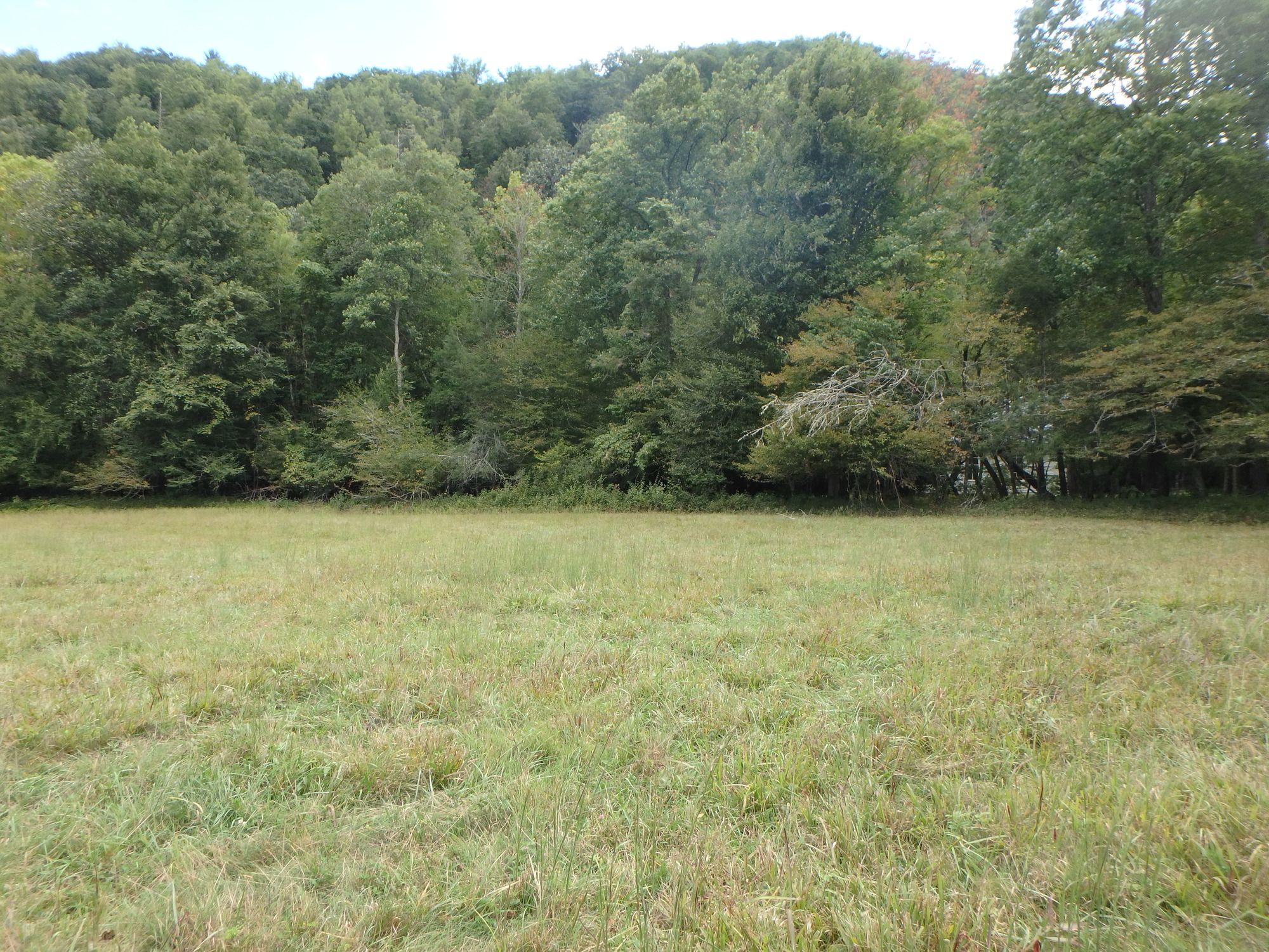 GRSM Accuracy Assessment. Plot Code: GRSM_AA_0093_4