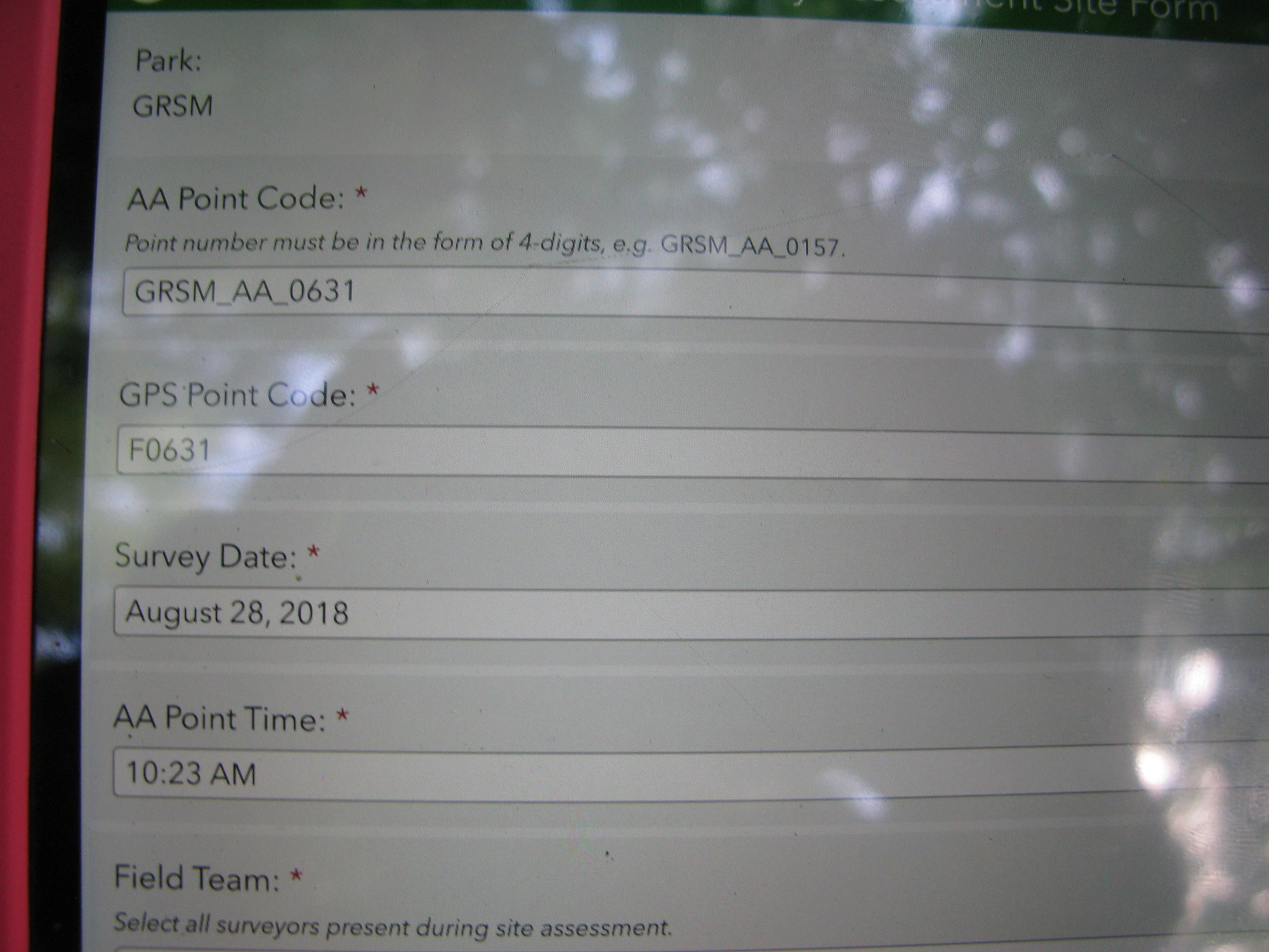 GRSM Accuracy Assessment. Plot Code: GRSM_AA_0631_1