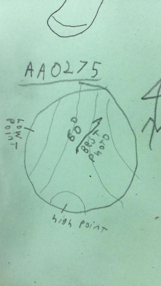 GRSM Accuracy Assessment. Plot Code: GRSM_AA_0275_map