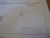 GRSM Accuracy Assessment. Plot Code: GRSM_AA_0708_7