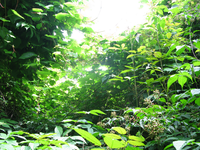 GRSM Accuracy Assessment. Plot Code: GRSM_AA_0754_6