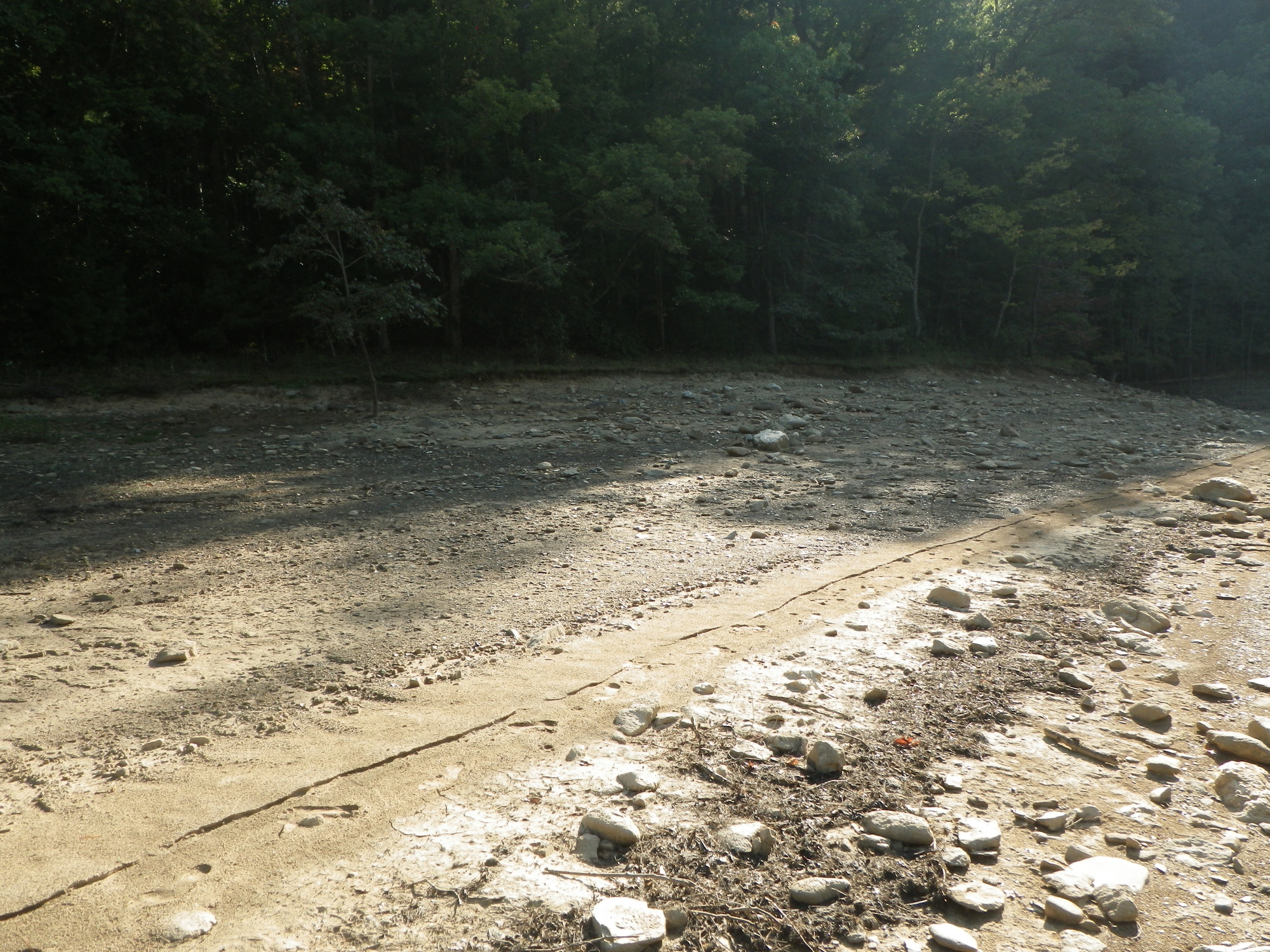 GRSM Accuracy Assessment. Plot Code: GRSM_AA_0028_3