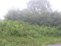 GRSM Accuracy Assessment. Plot Code: GRSM_AA_0104_3