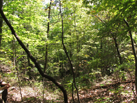 GRSM Accuracy Assessment. Plot Code: GRSM_AA_0460_6