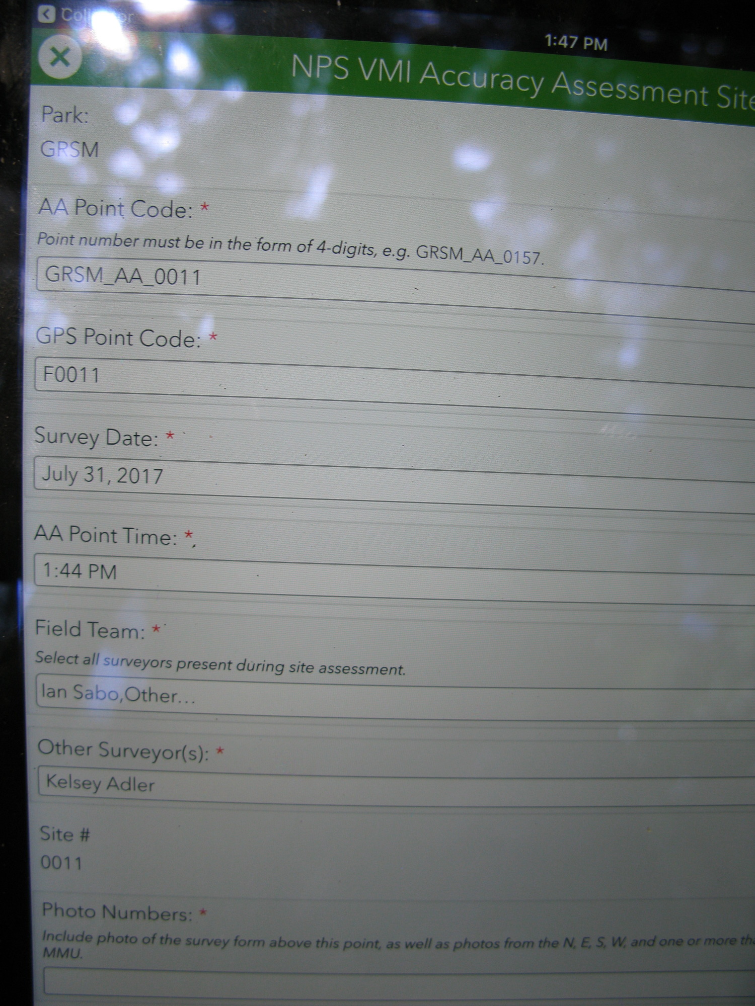 GRSM Accuracy Assessment. Plot Code: GRSM_AA_0011_1