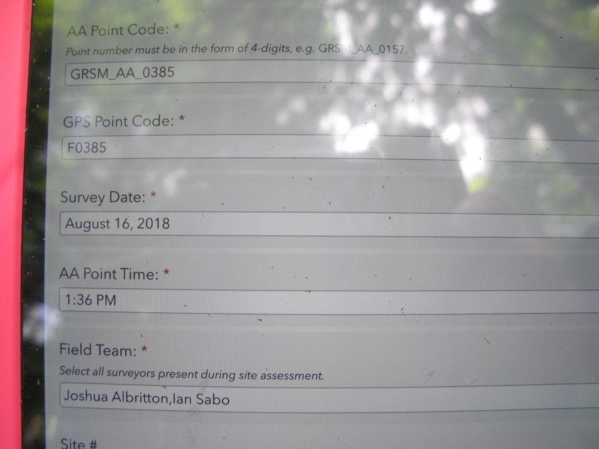 GRSM Accuracy Assessment. Plot Code: GRSM_AA_0385_1