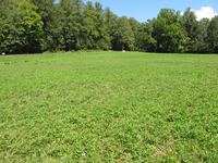 GRSM Accuracy Assessment. Plot Code: GRSM_AA_0798_2