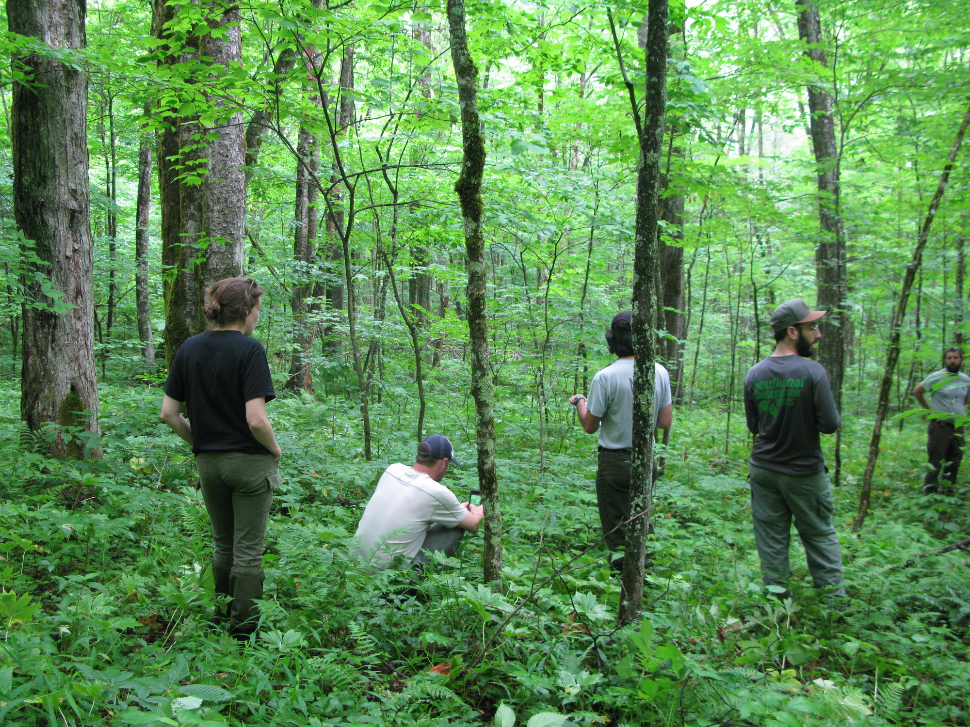 GRSM Accuracy Assessment. Plot Code: GRSM_AA_0907_2