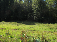 GRSM Accuracy Assessment. Plot Code: GRSM_AA_0807_4