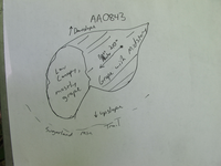 GRSM Accuracy Assessment. Plot Code: GRSM_AA_0843_7