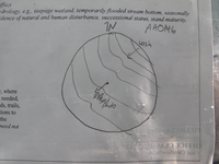GRSM Accuracy Assessment. Plot Code: GRSM_AA_0416_7
