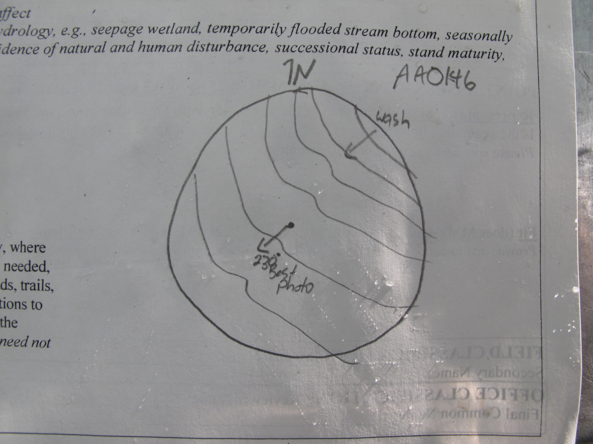 GRSM Accuracy Assessment. Plot Code: GRSM_AA_0416_7