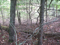 GRSM Accuracy Assessment. Plot Code: GRSM_AA_0609_3