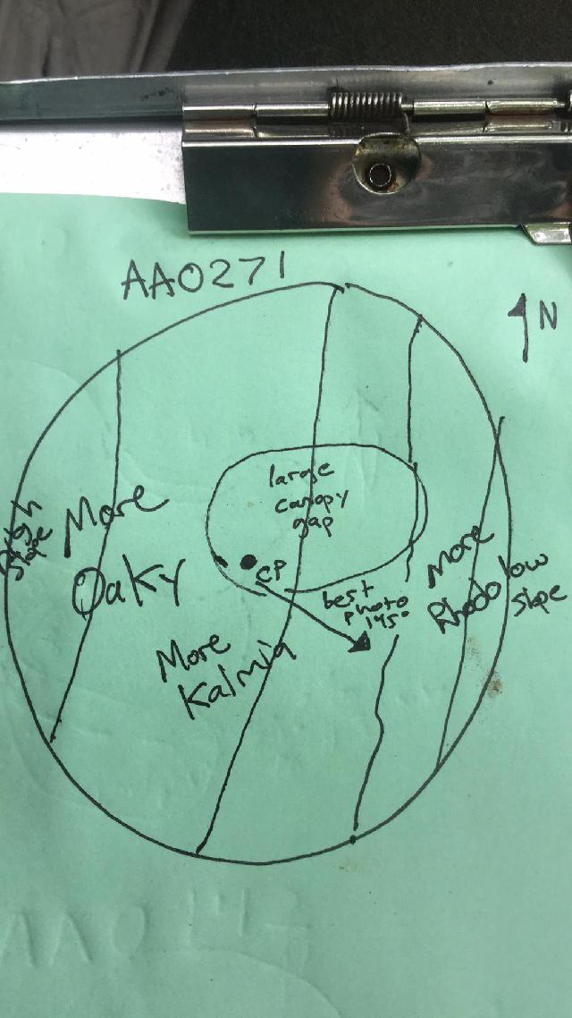 GRSM Accuracy Assessment. Plot Code: GRSM_AA_0271_map