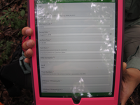 GRSM Accuracy Assessment. Plot Code: GRSM_AA_0416_1