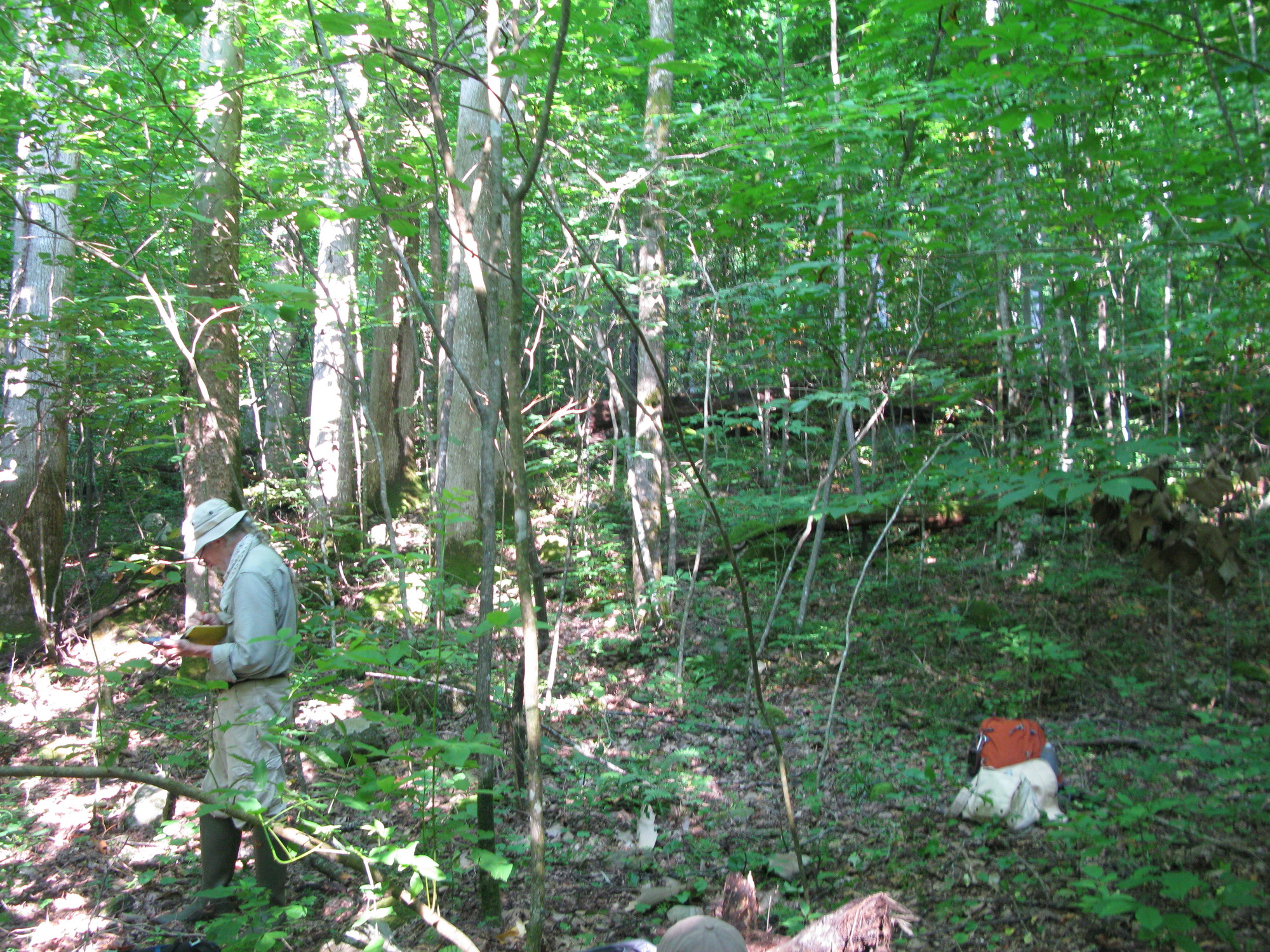 GRSM Accuracy Assessment. Plot Code: GRSM_AA_0287_3