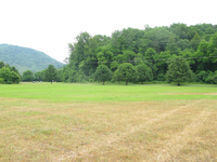 GRSM Accuracy Assessment. Plot Code: GRSM_AA_0896_2